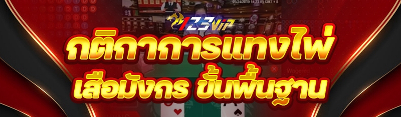 กติกาการแทงไพ่เสือมังกร ขั้นพื้นฐาน