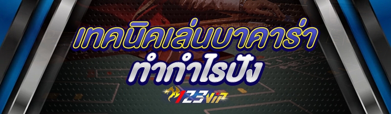 เทคนิคเล่นบาคาร่า ทำกำไรปัง